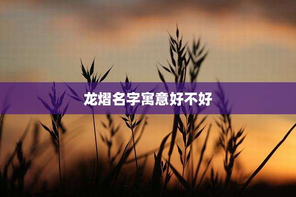 龙熠名字寓意好不好
