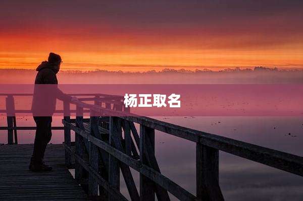 杨正取名