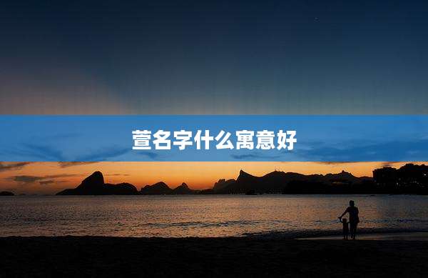 萱名字什么寓意好