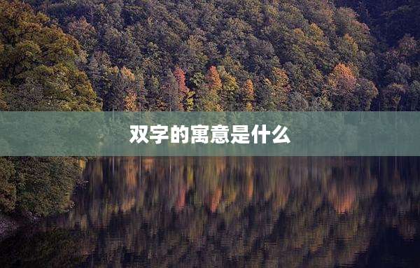 双字的寓意是什么