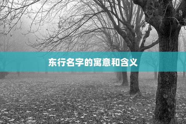 东行名字的寓意和含义