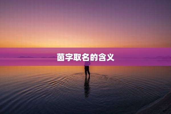 茵字取名的含义