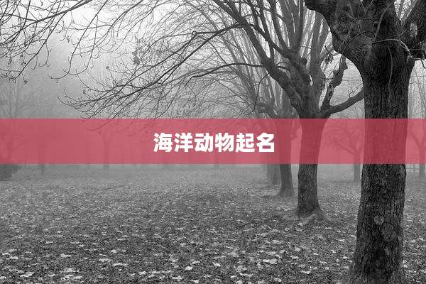 海洋动物起名