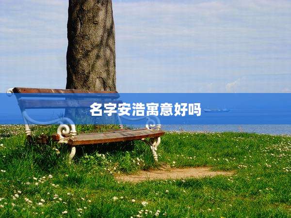 名字安浩寓意好吗