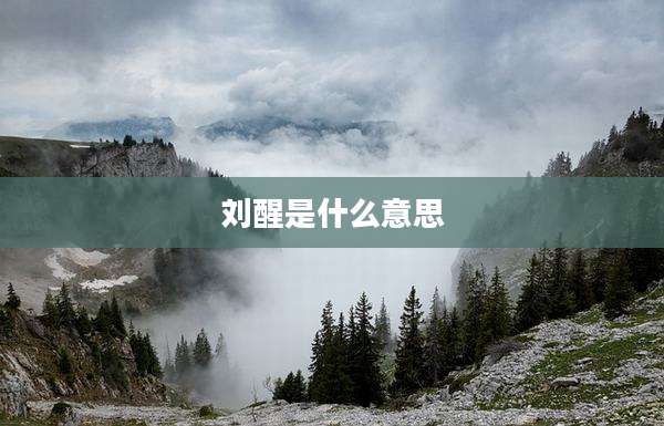 刘醒是什么意思