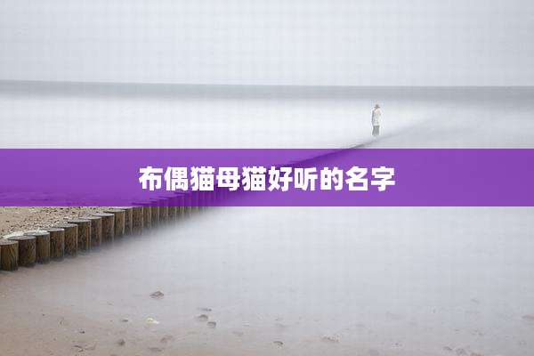 布偶猫母猫好听的名字