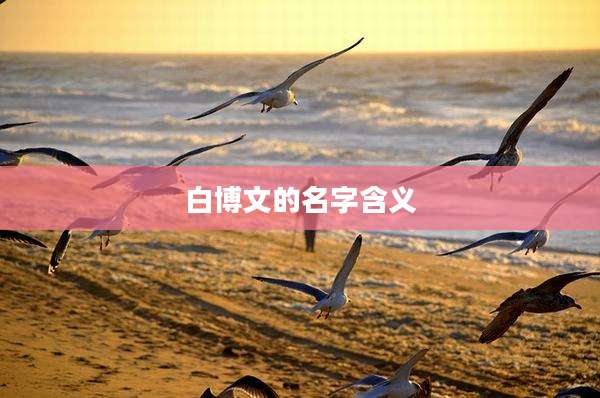 白博文的名字含义