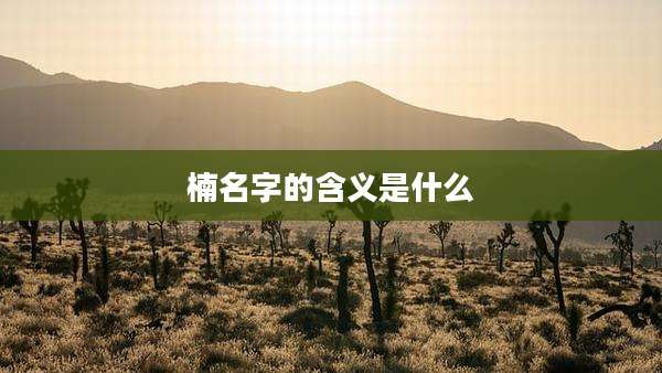 楠名字的含义是什么