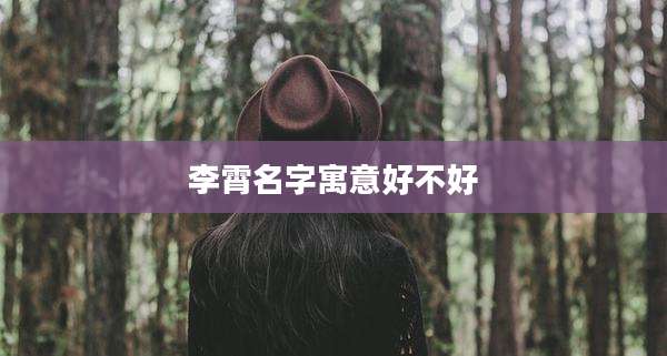 李霄名字寓意好不好