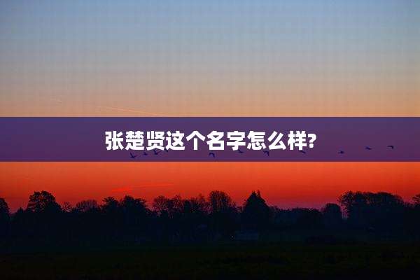张楚贤这个名字怎么样?