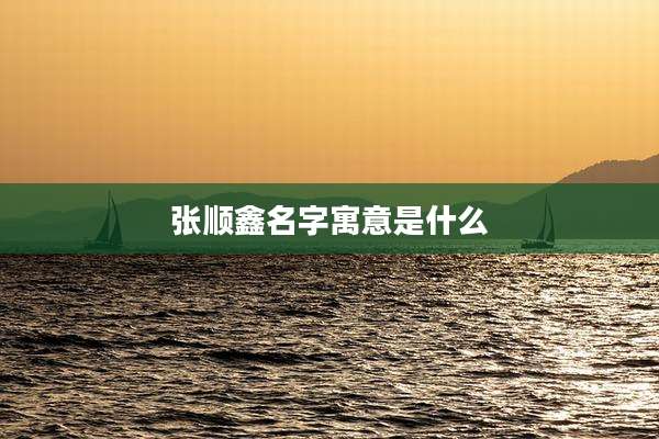 张顺鑫名字寓意是什么