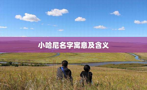 小哈尼名字寓意及含义