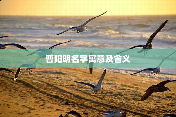 曹阳明名字寓意及含义