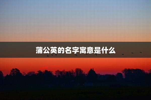 蒲公英的名字寓意是什么