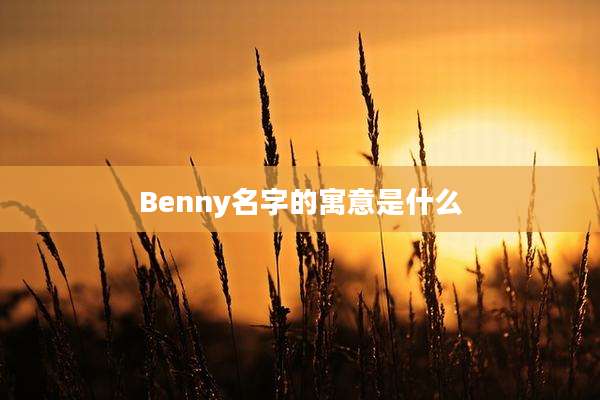 Benny名字的寓意是什么