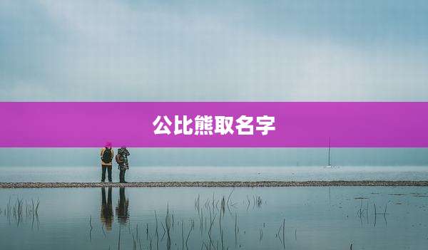 公比熊取名字