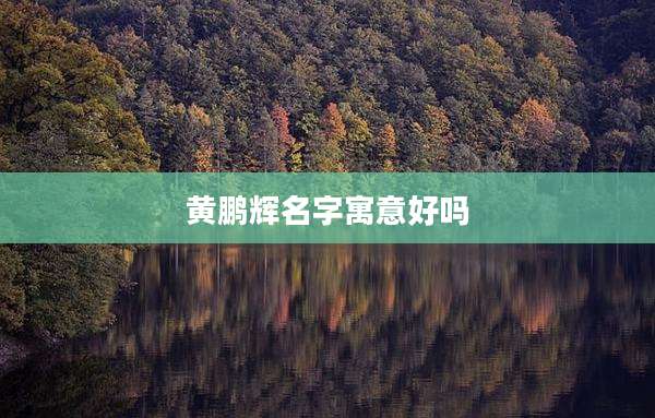 黄鹏辉名字寓意好吗