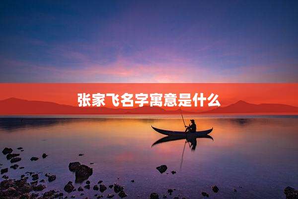 张家飞名字寓意是什么