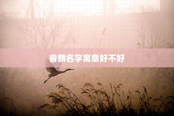 睿麟名字寓意好不好