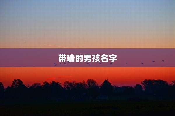 带瑞的男孩名字