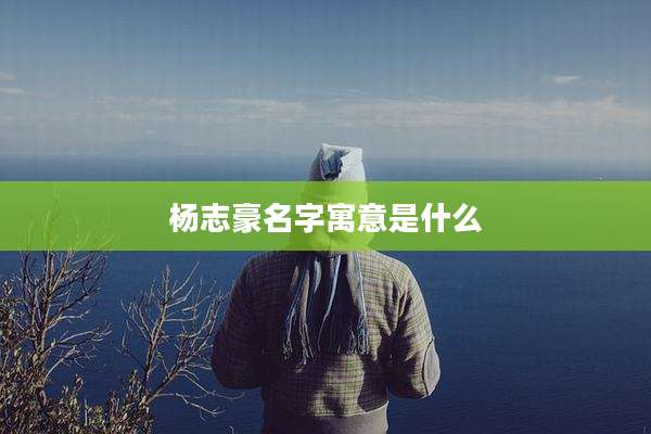 杨志豪名字寓意是什么
