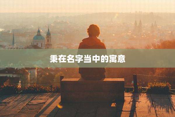 秉在名字当中的寓意