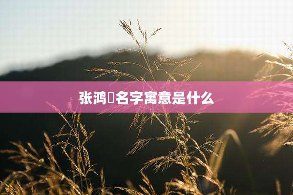 张鸿璟名字寓意是什么