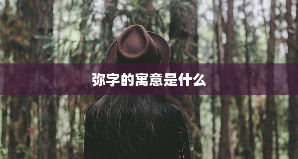 弥字的寓意是什么