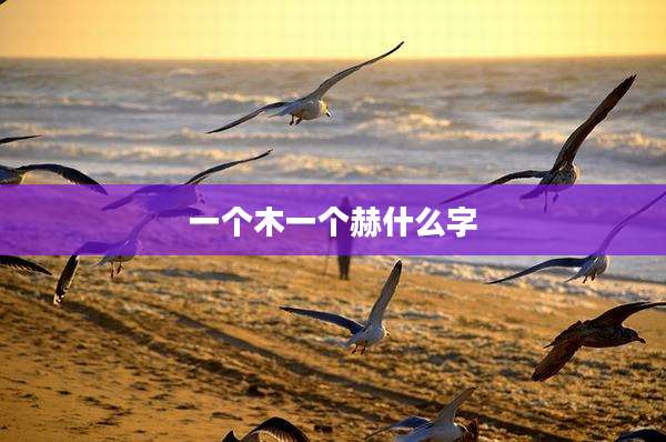 一个木一个赫什么字