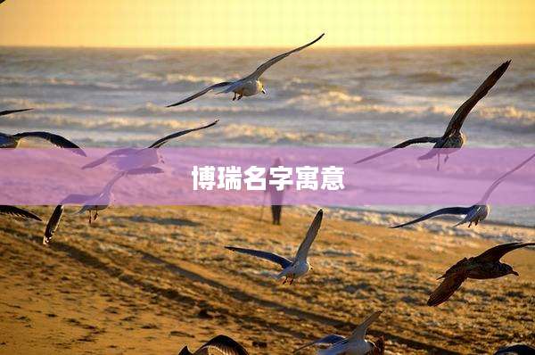博瑞名字寓意