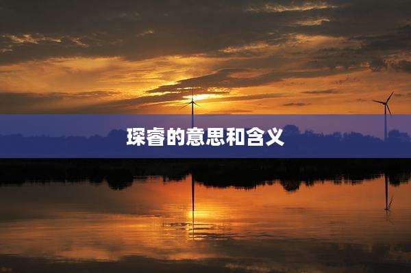 琛睿的意思和含义