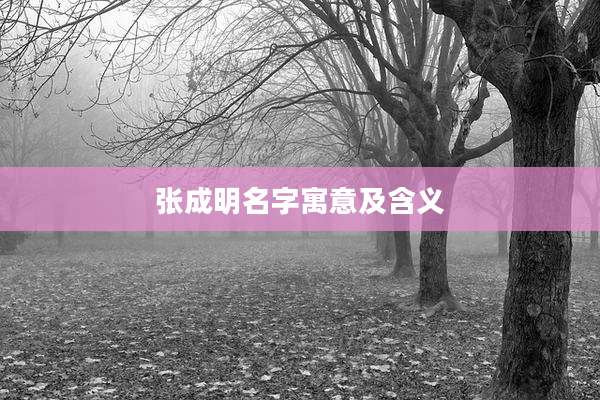 张成明名字寓意及含义