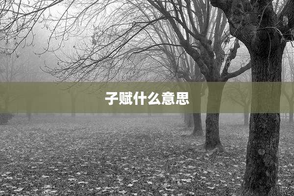子赋什么意思