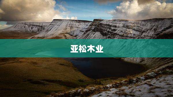 亚松木业