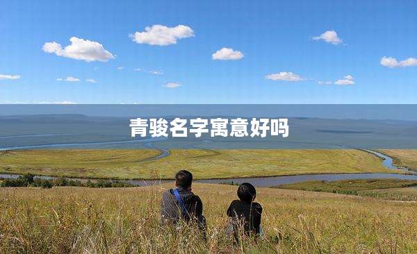 青骏名字寓意好吗