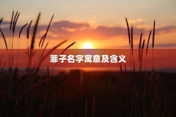 菲子名字寓意及含义