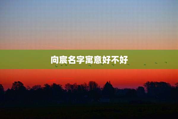 向宸名字寓意好不好