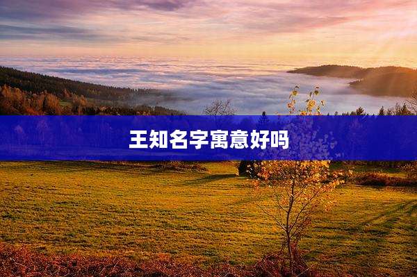 王知名字寓意好吗
