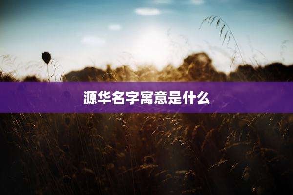 源华名字寓意是什么