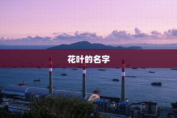 花叶的名字
