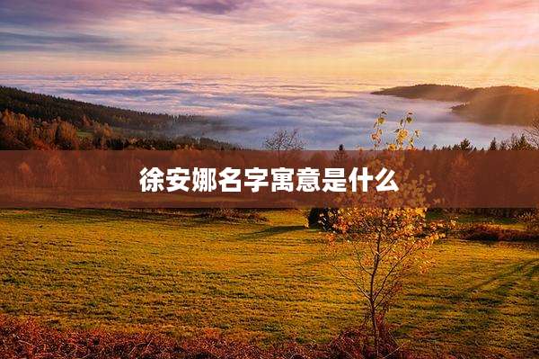 徐安娜名字寓意是什么