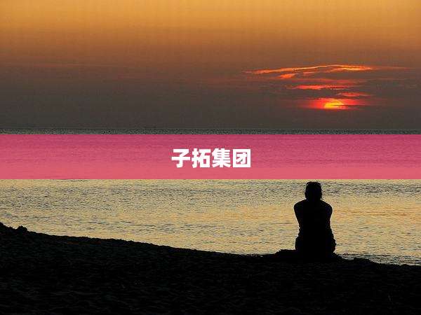 子拓集团