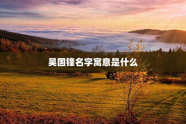 吴国锋名字寓意是什么