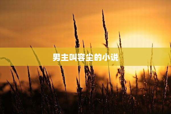 男主叫容尘的小说