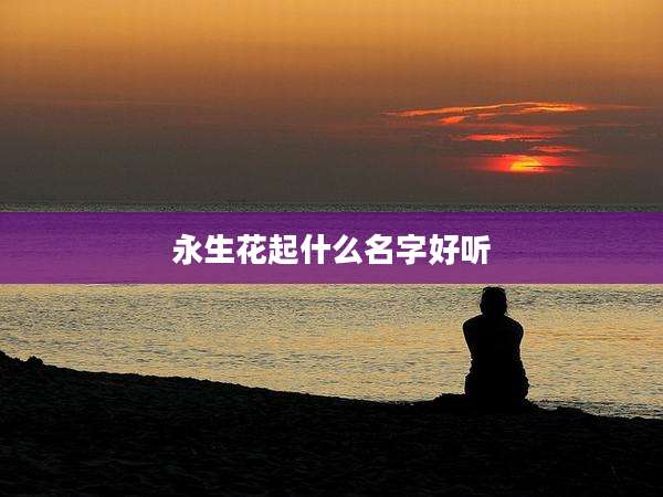 永生花起什么名字好听
