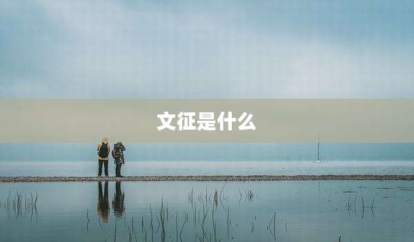 文征是什么