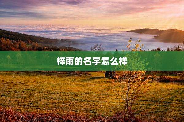 梓雨的名字怎么样