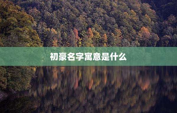 初豪名字寓意是什么