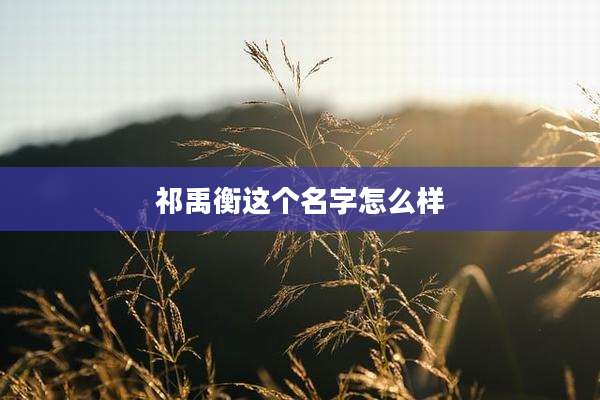 祁禹衡这个名字怎么样