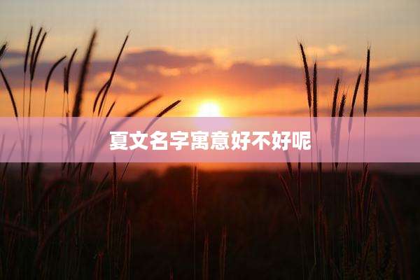 夏文名字寓意好不好呢